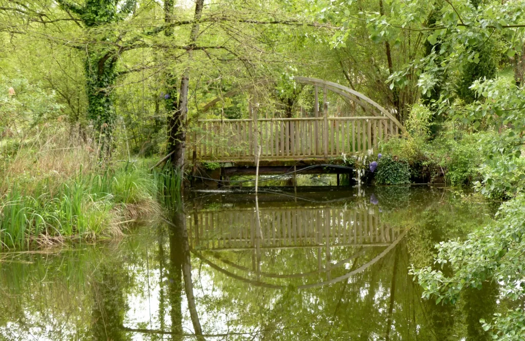 Un pont solide en bois passant au-dessus d'un étang quelque part au beau milieu du domaine Entre mer et forêt.