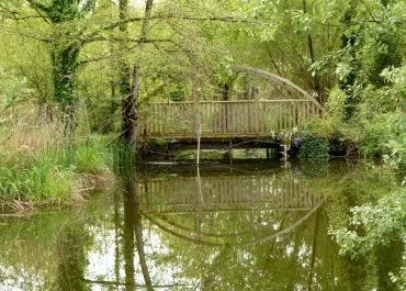 Un pont solide en bois passant au-dessus d'un étang quelque part au beau milieu du domaine Entre mer et forêt.
